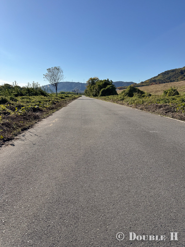 TediousPhoto20251119O