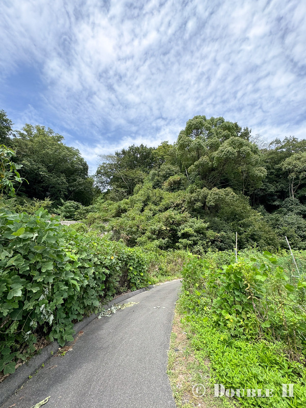 TediousPhoto20250608A