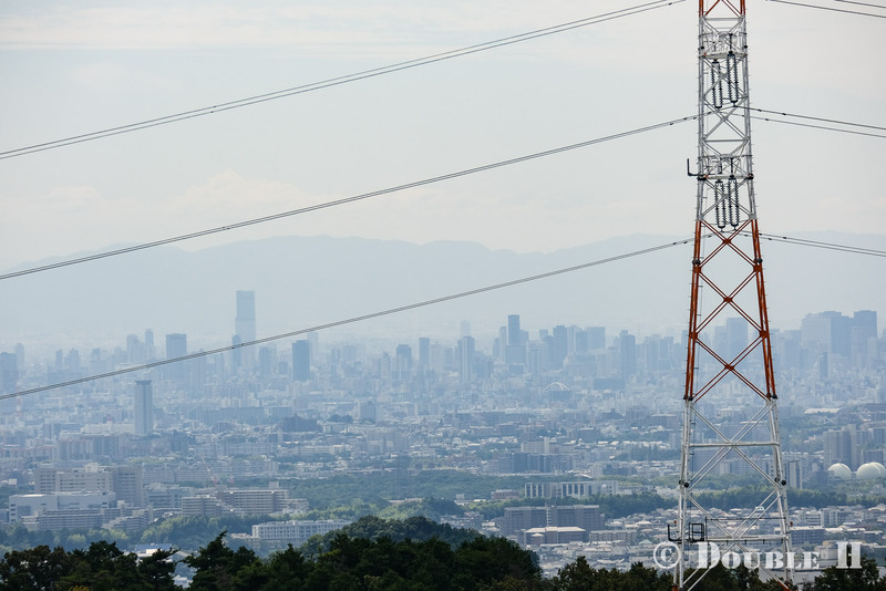 TediousPhoto20250608L