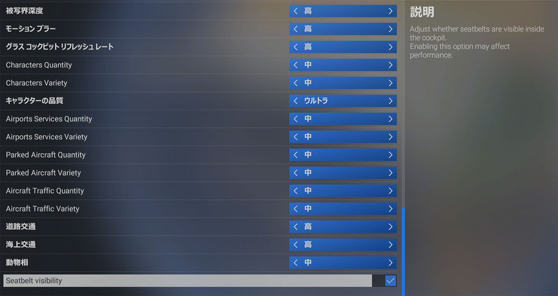 MSFS2024_202509_43SeatbeltVisibilityOption