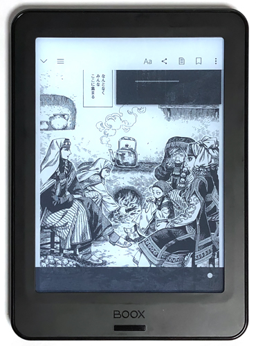 BOOXPokePro31F
