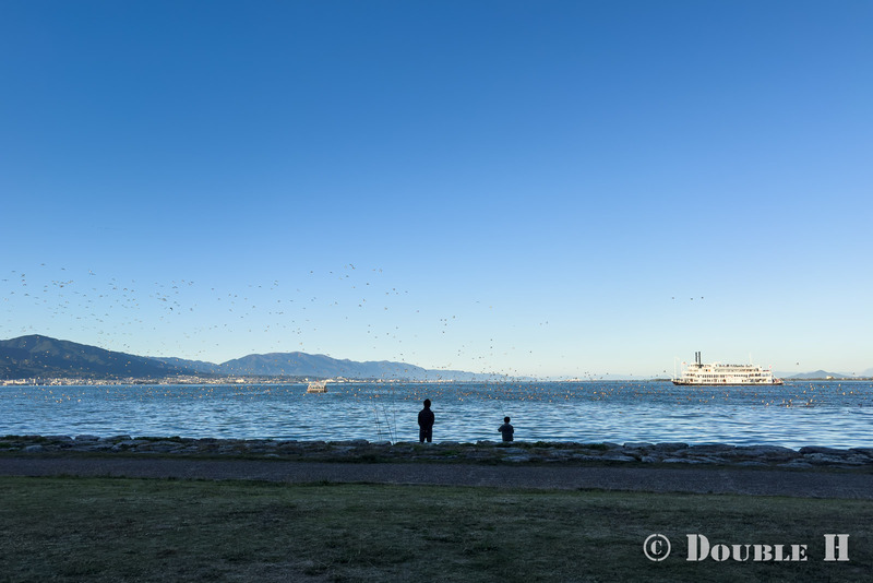 TediousPhoto20241114A