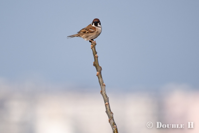 TediousPhoto20240326