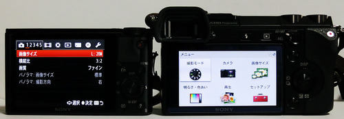 DSC-RX100vsNEX7_04