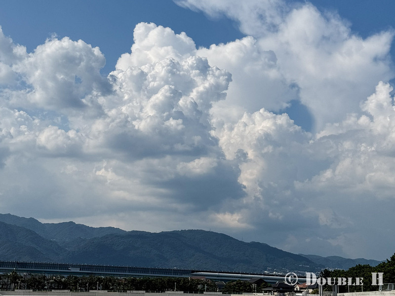 TediousPhoto20240826