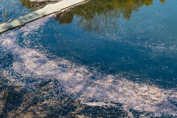 TediousDays20200409_04_1570