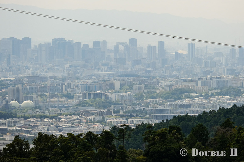 TediousPhoto20250608M