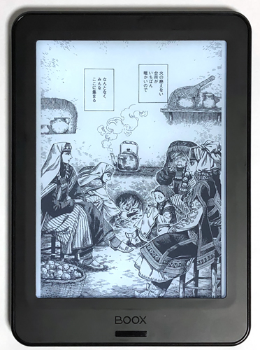 BOOXPokePro31C