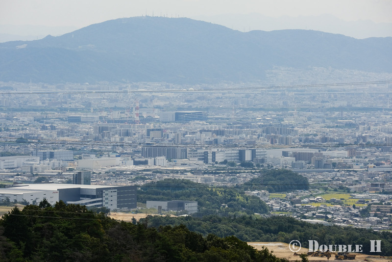 TediousPhoto20250608K