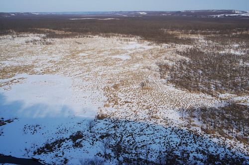 ��ϩ���������å���Ÿ˾��