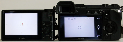 DSC-RX100vsNEX7_06