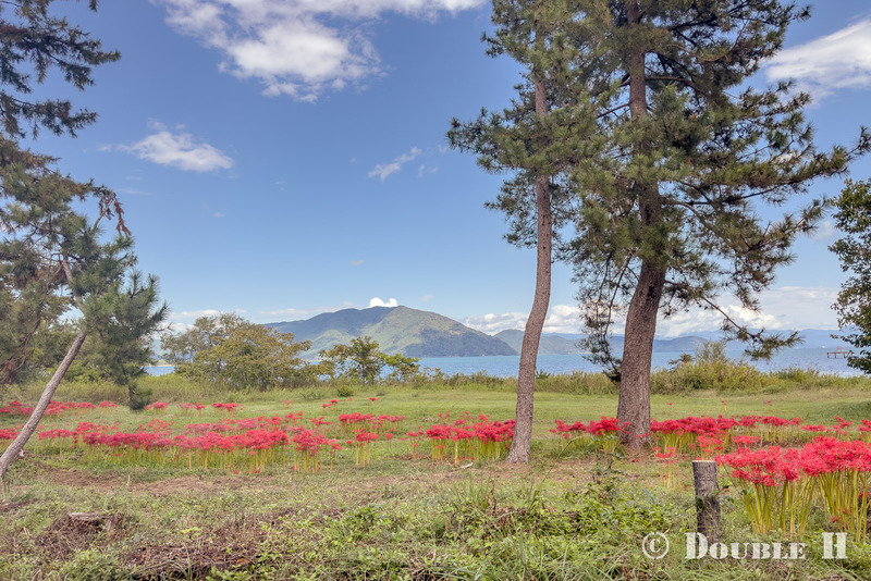 TediousPhoto20251003D