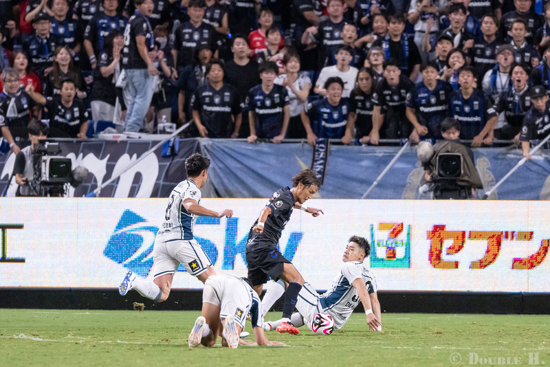 TediousPhoto20241112D