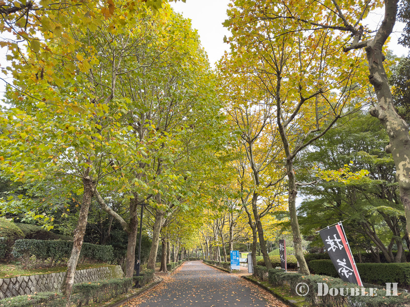 TediousPhoto20251103B