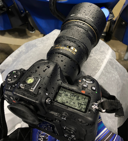 D500_18