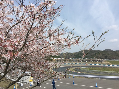 iPhone 6s Plus Photo 3