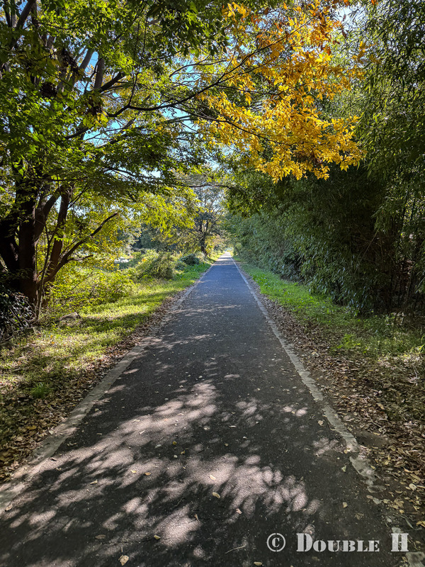 TediousPhoto20251119D