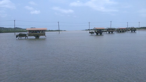 InfoBarA02_PhotoSample2