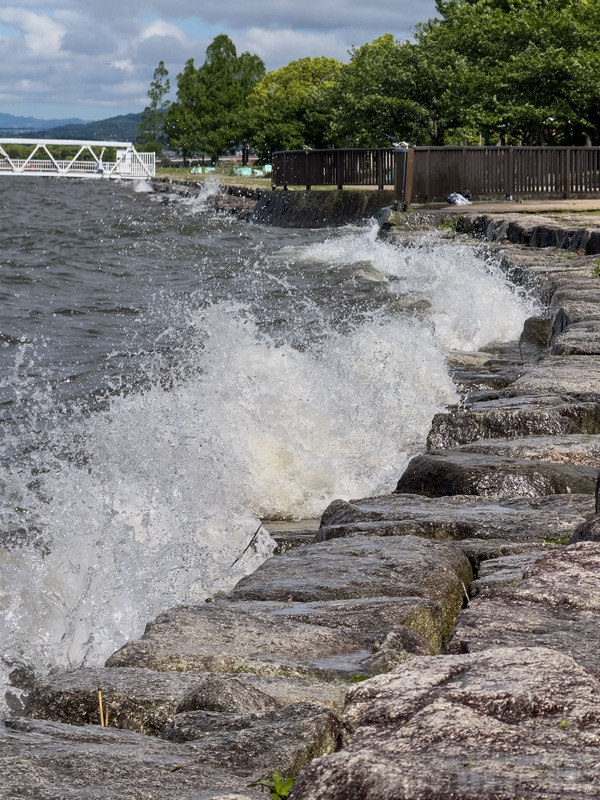 TediousPhoto20240509