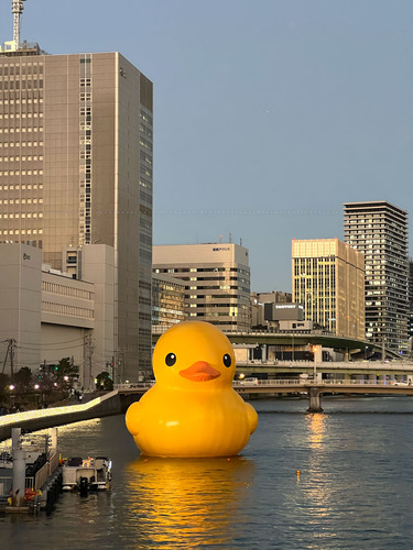 iPhone13Pro_Repair13m