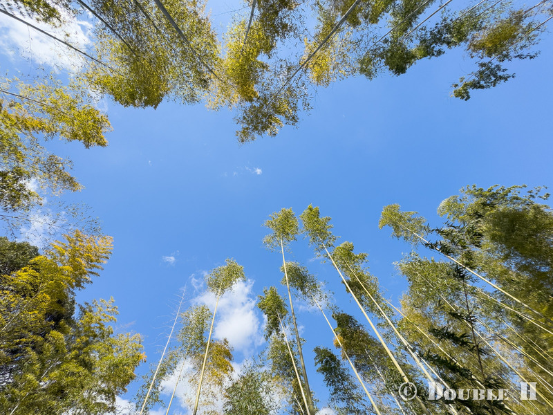 TediousPhoto20260311