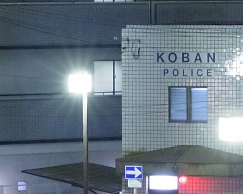 GXR_A12_50mm_ISO0800trim