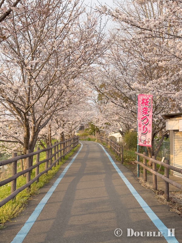 SakuraCycling2026SaboRiver17