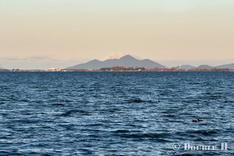 TediousPhoto20251228B