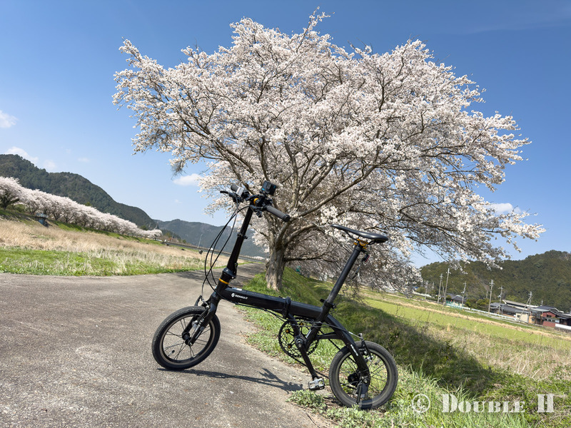 SakuraCycling2026HikamiKakogawa1
