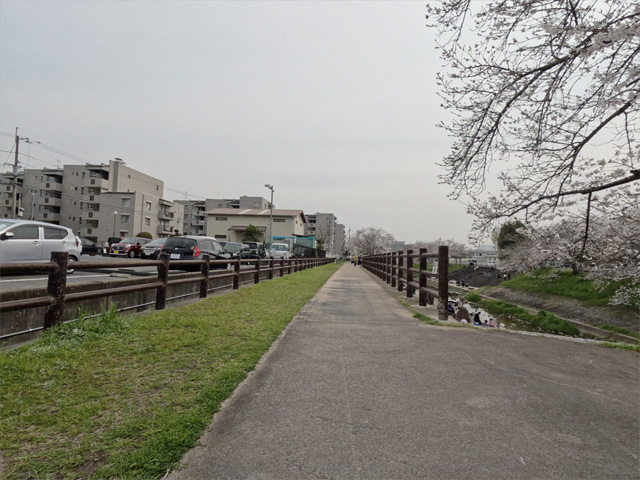 SakuraCycling2026SaboRiverCapture11