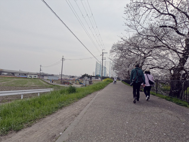SakuraCycling2026SaboRiverCapture16