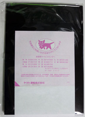 IIJmioFastMobileD2_02