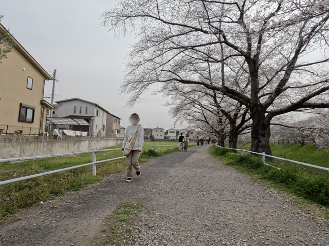 SakuraCycling2026SaboRiverCapture07