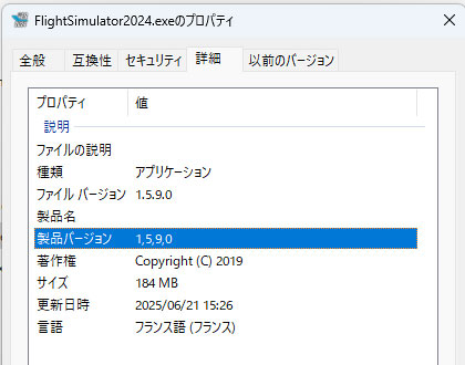 MSFS2024_202506_45