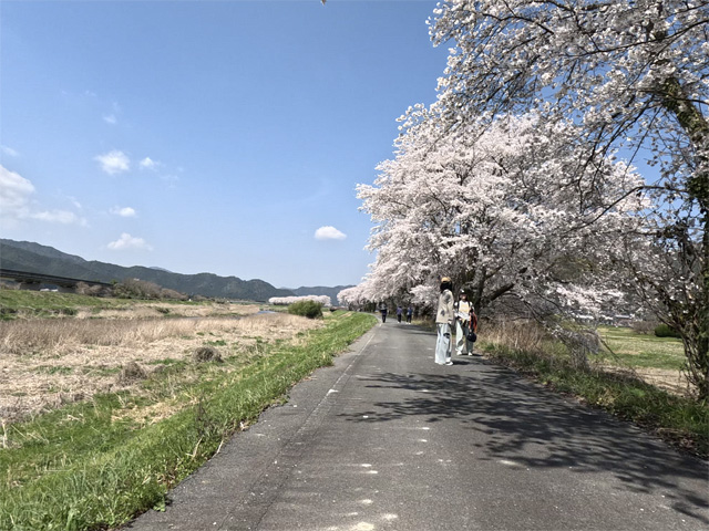SakuraCycling2026HikamiKakogawaCapture15