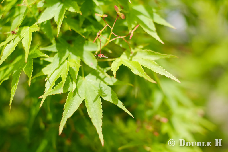 TediousPhoto20240418