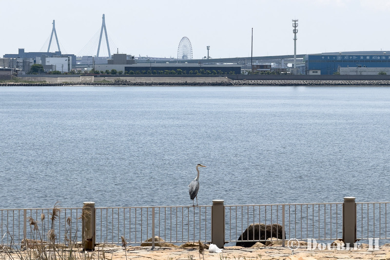 TediousPhoto20260518A