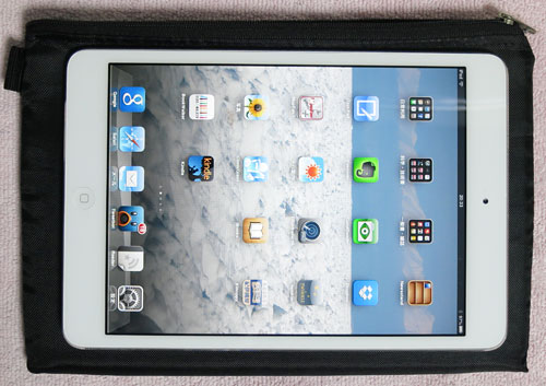 iPadmini_Case100yenShop6