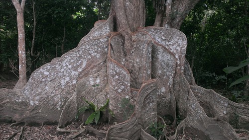 InfoBarA02_PhotoSample4