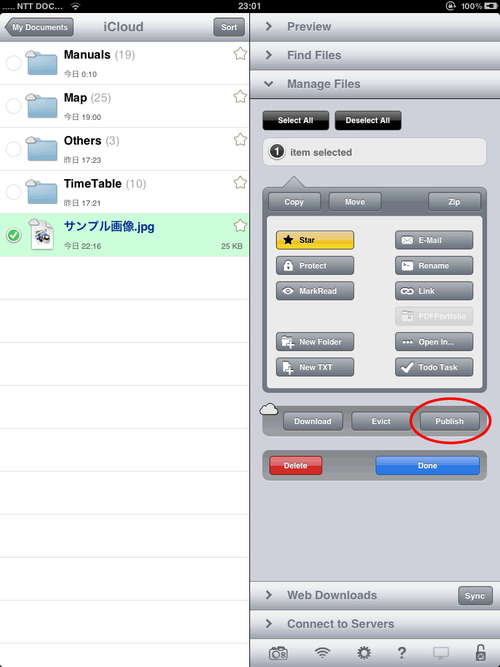 GoodReader_iCloud29_iPadPublish1