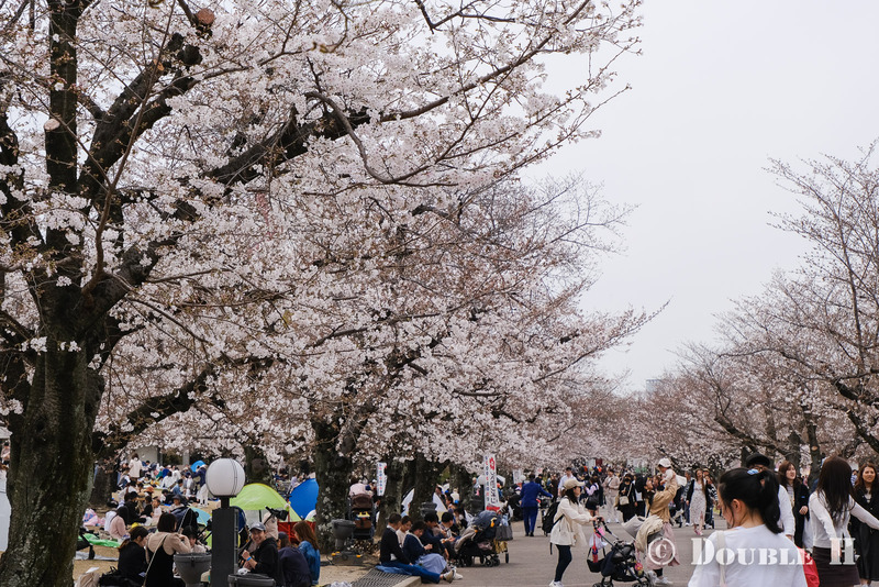 TediousPhoto20240404D