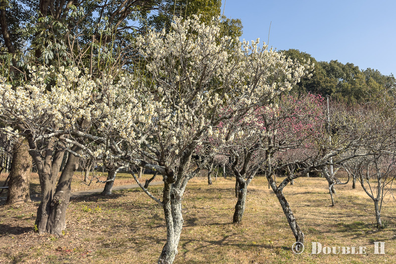 TediousPhoto20260214B