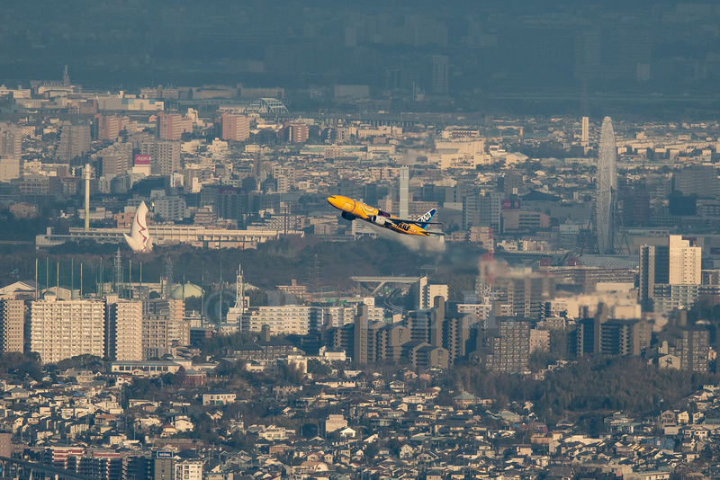 TediousPhoto20260108A