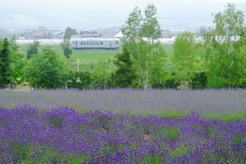 BlogUpload20140907_04_X-T1