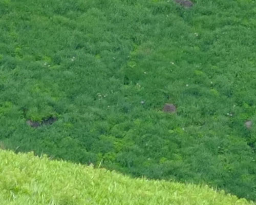 XF55-200mm_LowQuality1_JPEG_trim