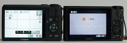 DSC-RX100vsS100_13