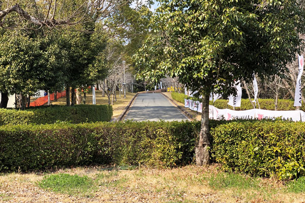 ShinshiroRally2019_49