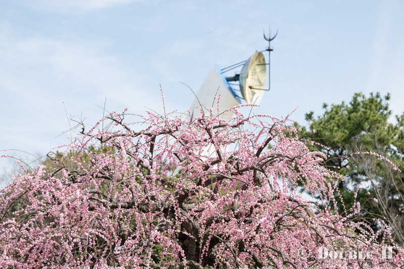 TediousPhoto20250314B