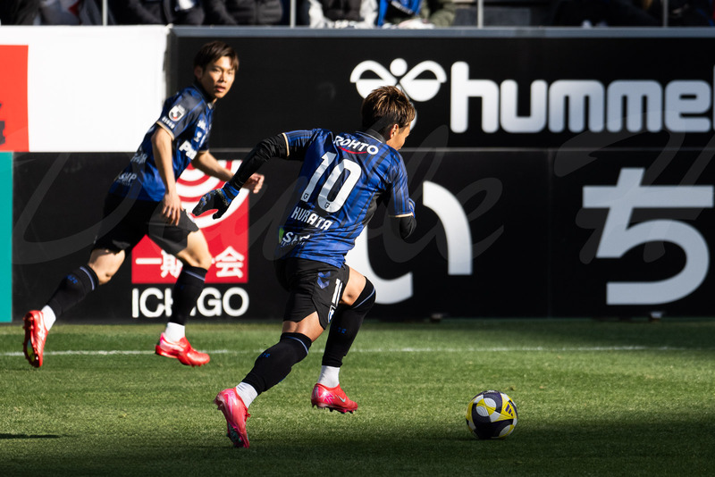 TediousPhoto20250225A