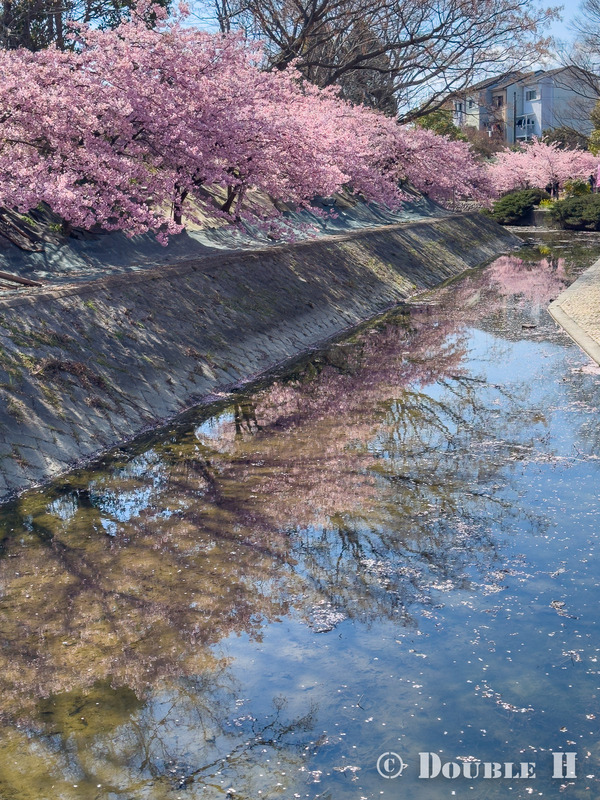 TediousPhoto20260314B